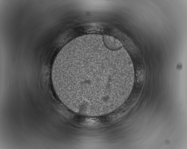 X0000102350753200808291201