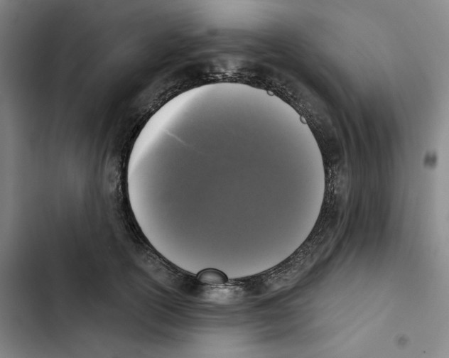 X0000102350754200808291201