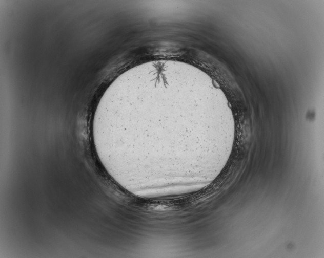 X0000102350755200808291201