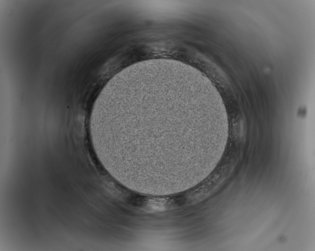 X0000102350757200808291201