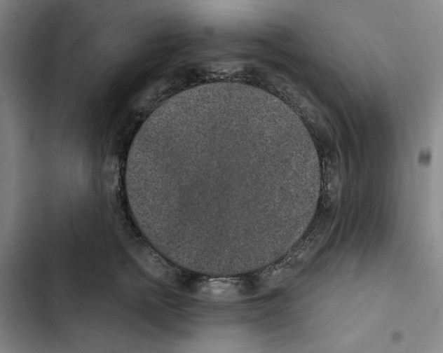 X0000102350758200808291201