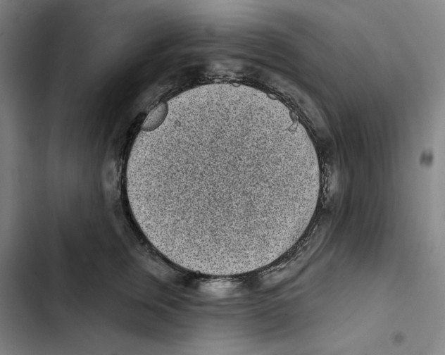 X0000102350759200808291201