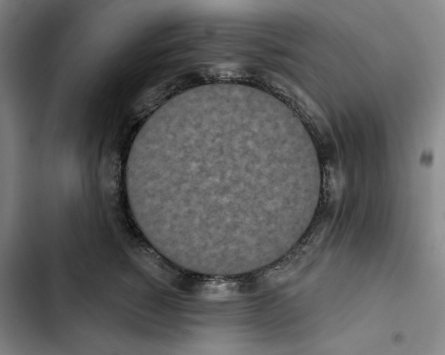 X0000102350760200808291201