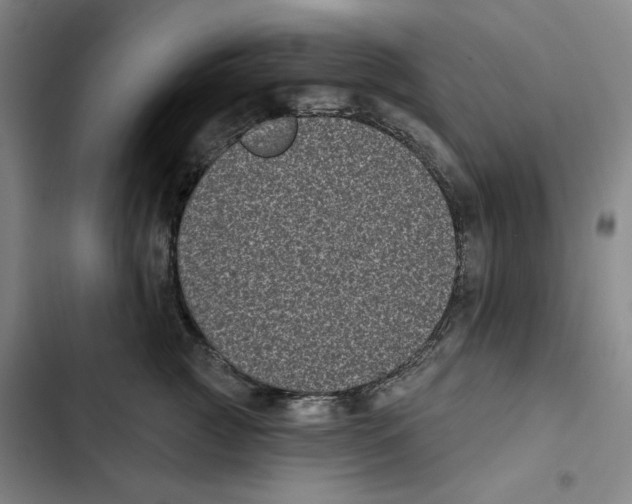 X0000102350761200808291201