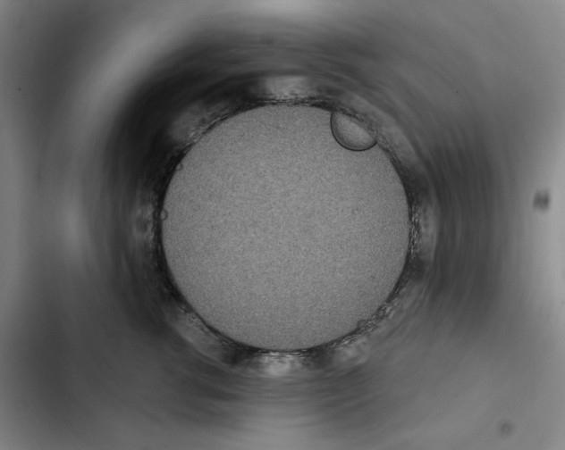 X0000102350762200808291201