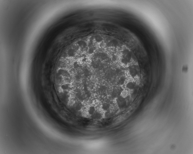 X0000102350765200808291201