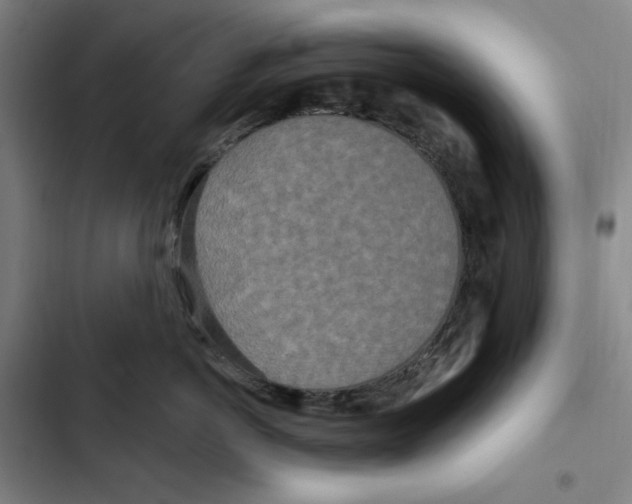 X0000102350766200808291201