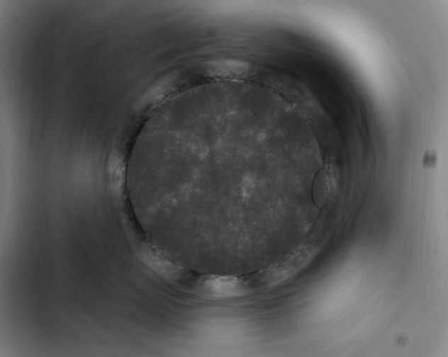 X0000102350767200808291201