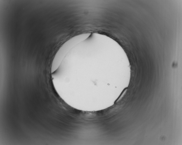 X0000102350768200808291201