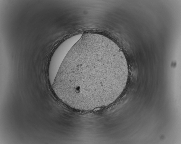X0000102350769200808291200