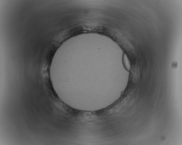 X0000102350770200808291200