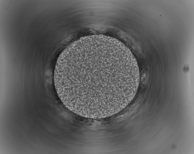 X0000102350772200808291200