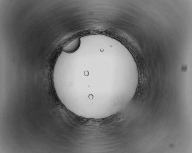 X0000102350773200808291200