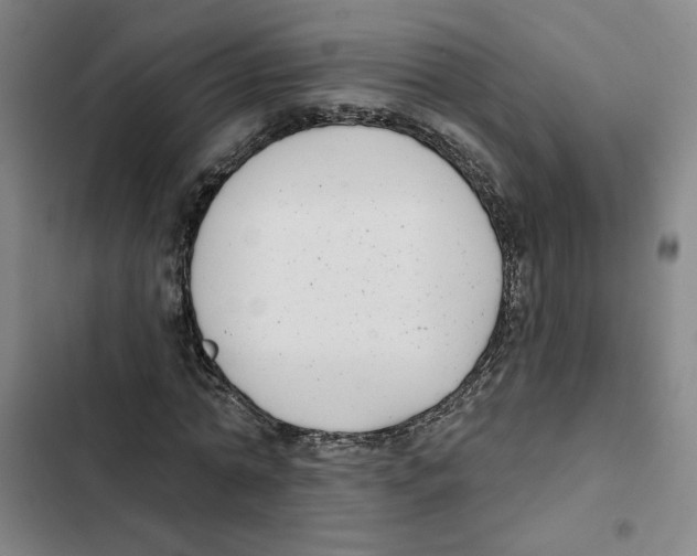 X0000102350774200808291200