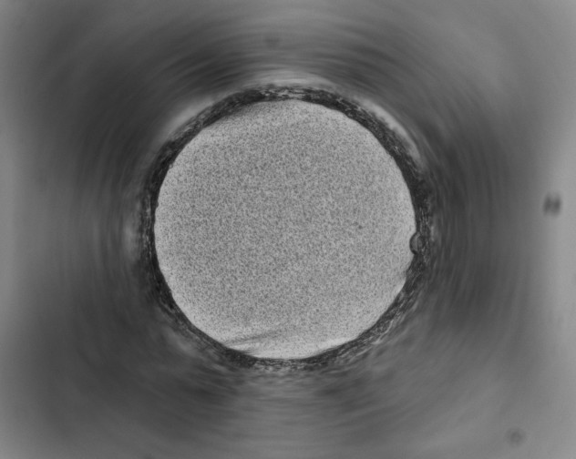 X0000102350775200808291200