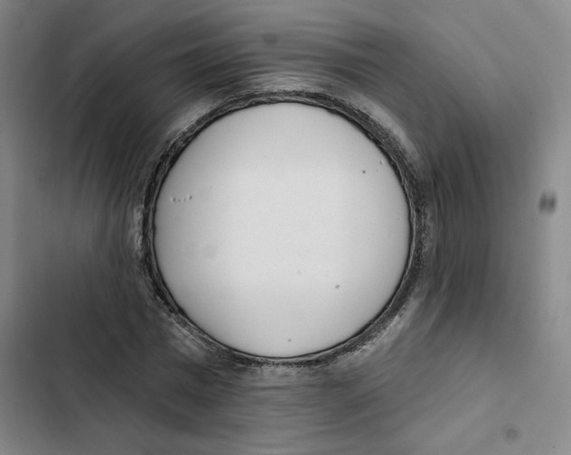 X0000102350777200808291200