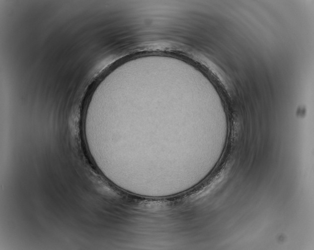 X0000102350778200808291200