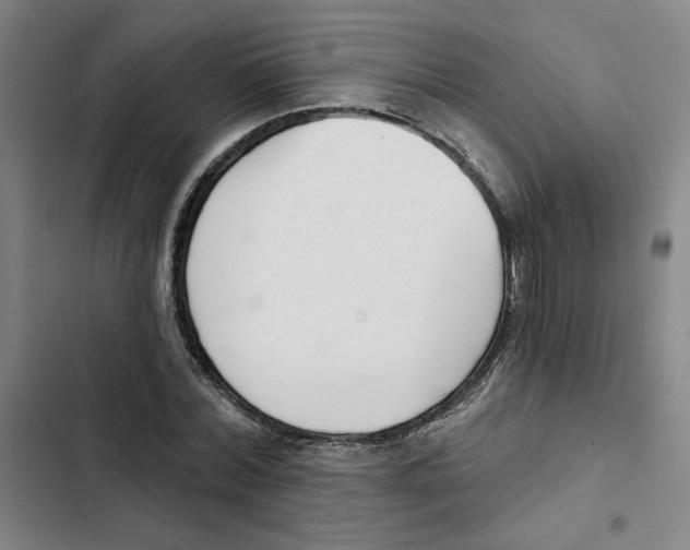 X0000102350780200808291200