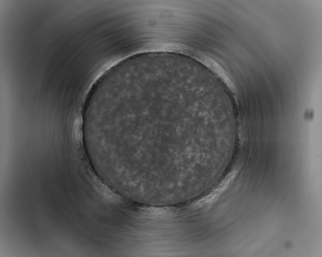 X0000102350781200808291200