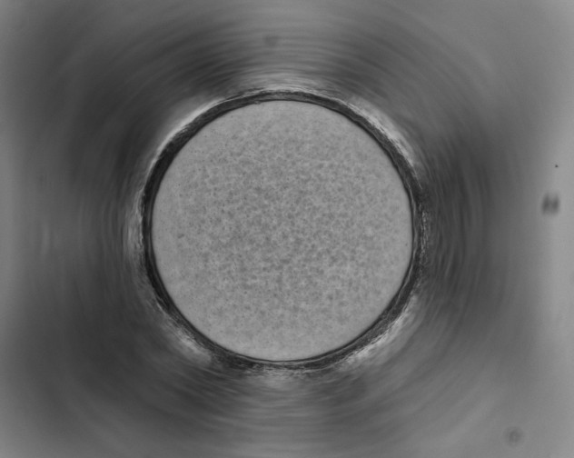 X0000102350782200808291200