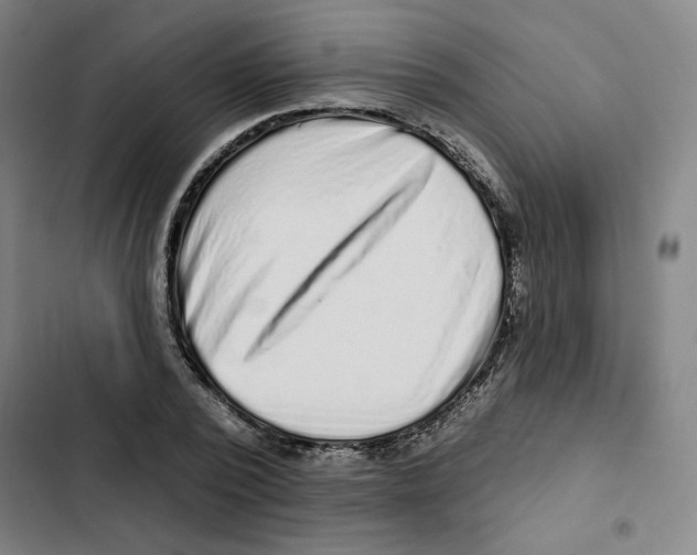 X0000102350784200808291200