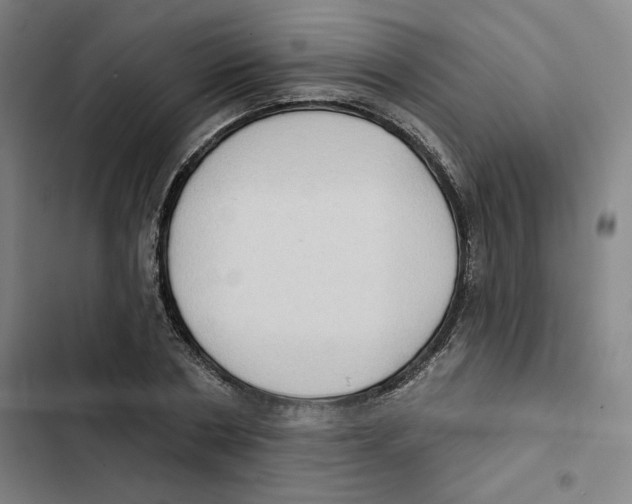 X0000102350786200808291200