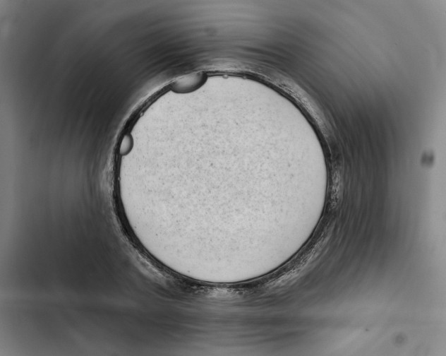 X0000102350787200808291200