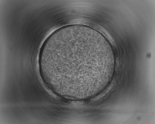 X0000102350788200808291200