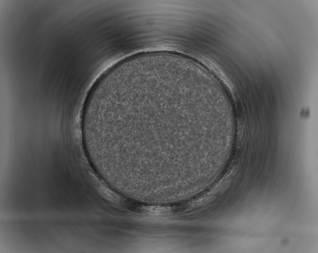 X0000102350789200808291200