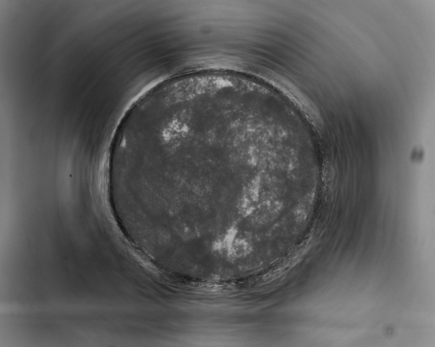 X0000102350790200808291200