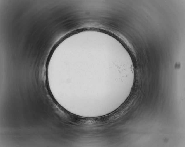 X0000102350791200808291200