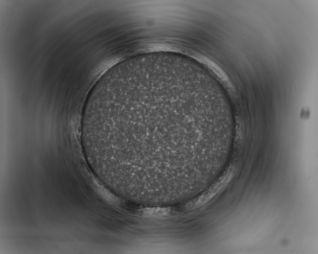 X0000102350793200808291200