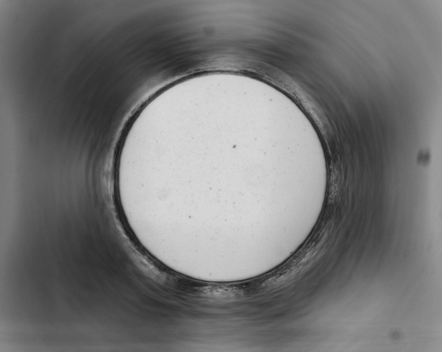 X0000102350795200808291200