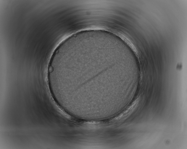 X0000102350797200808291200