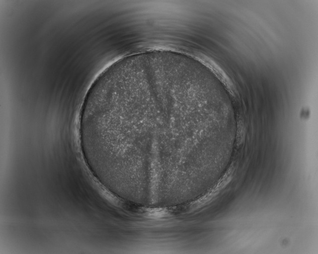X0000102350798200808291200