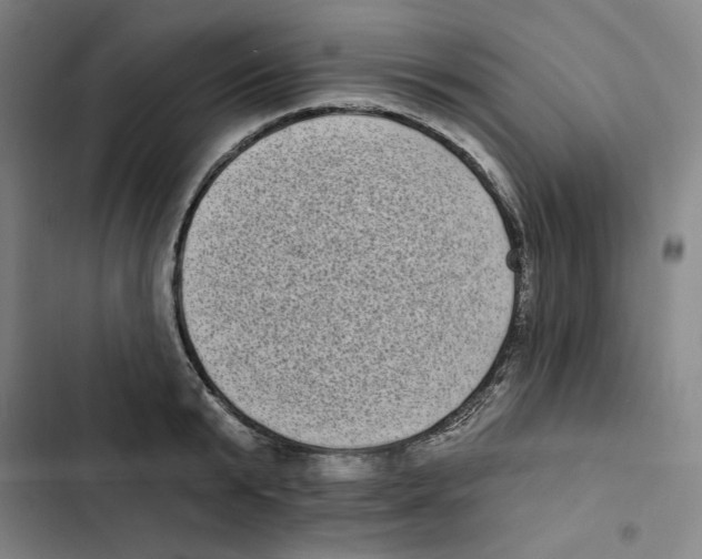 X0000102350799200808291200