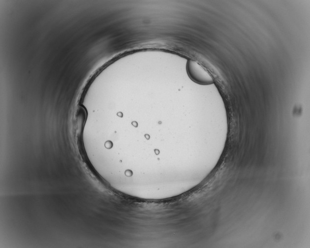 X0000102350800200808291200