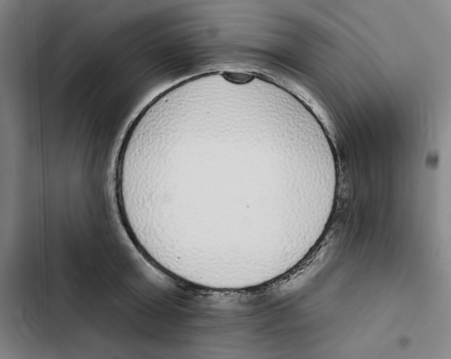 X0000102350803200808291200