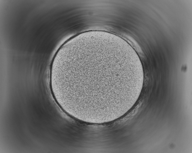 X0000102350804200808291200