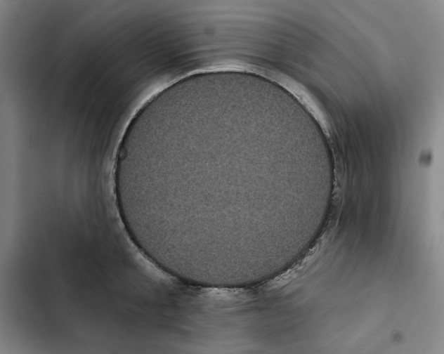 X0000102350805200808291200