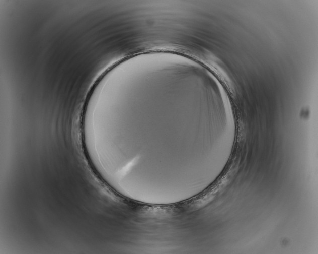 X0000102350806200808291200