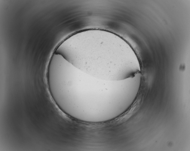X0000102350807200808291200