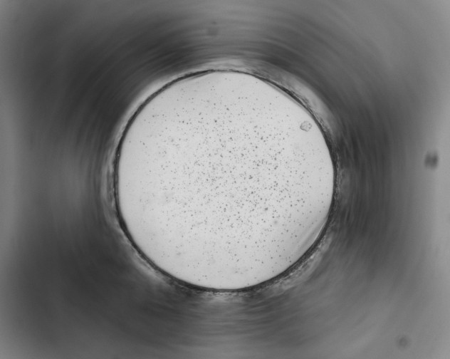 X0000102350808200808291200
