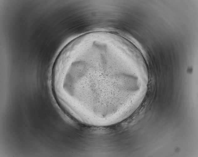 X0000102350811200808291159