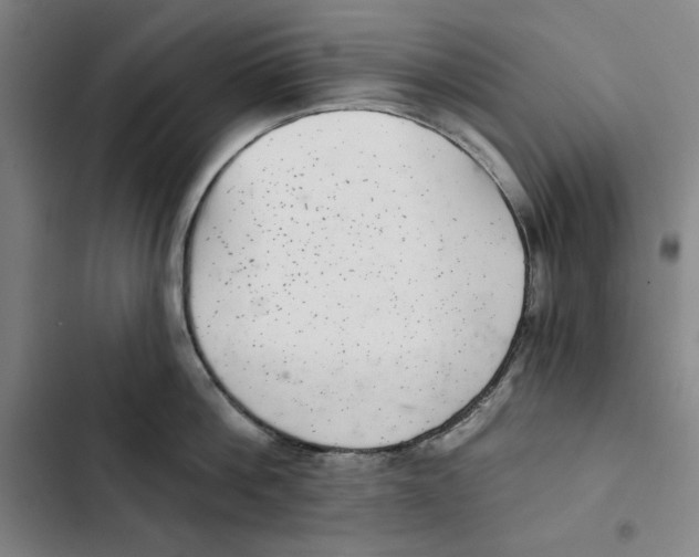 X0000102350812200808291159