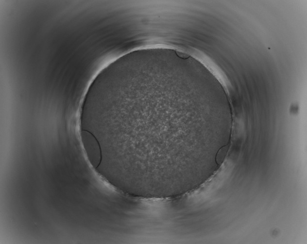 X0000102350813200808291159