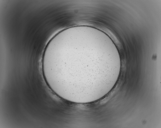 X0000102350814200808291159