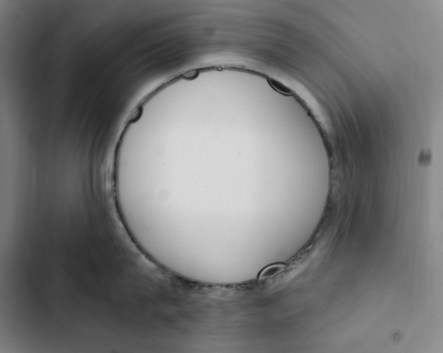 X0000102350815200808291159