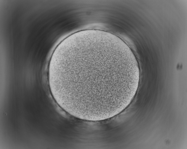 X0000102350816200808291159