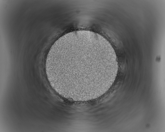 X0000102350817200808291159
